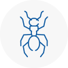 Ant Removals In Bournemouth