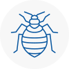 Bed Bug Extermination In Bournemouth