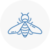 Bee Nest Removal Bournemouth