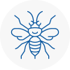 Bournemouth Hornet Nest Removals