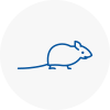 Mice Exterminators In Bournemouth