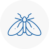 Moth Control Specialists In Bournemouth