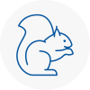 Bournemouth Rodent Removals